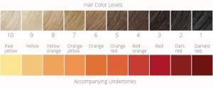 Hair Color Levels And Base Colors