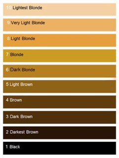 Hair Color Levels and Hair Dye Codes Guide - All About The ...