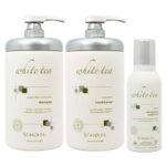 Best Sodium Chloride-Free Shampoo