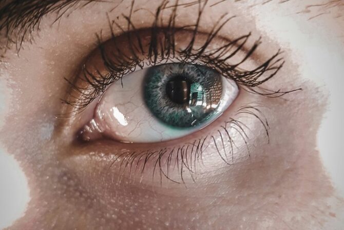 Magnetic Eyelashes