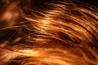 Hair Cuticle Sealing Innovations