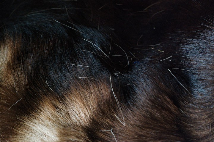 Scalp Detoxification Procedures