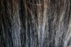 Hair Porosity Test Methods