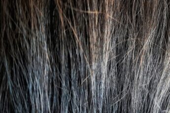 Hair Porosity Test Methods