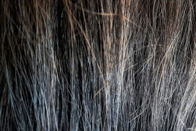 Hair Porosity Test Methods