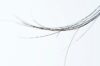 Hair Elasticity Restoration
