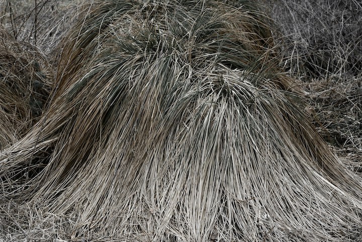Hair Porosity Test Methods