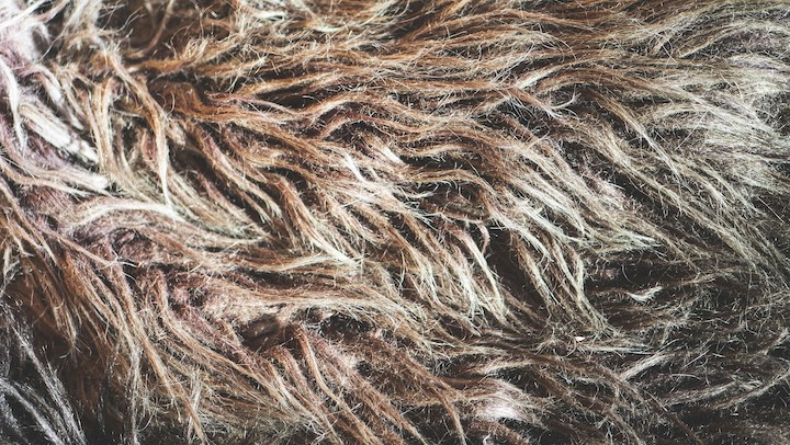 Hair Porosity Test Methods