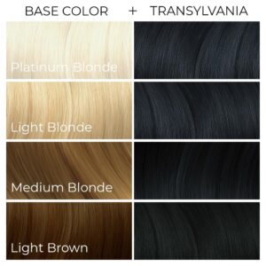 Arctic Fox Hair Dye